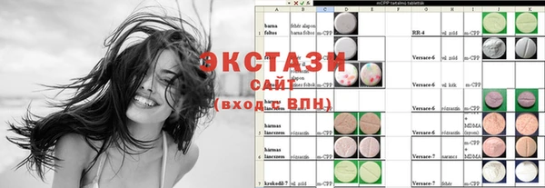 индика Елизово