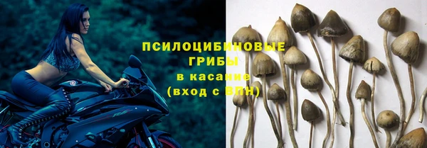 мефедрон мука Дмитровск