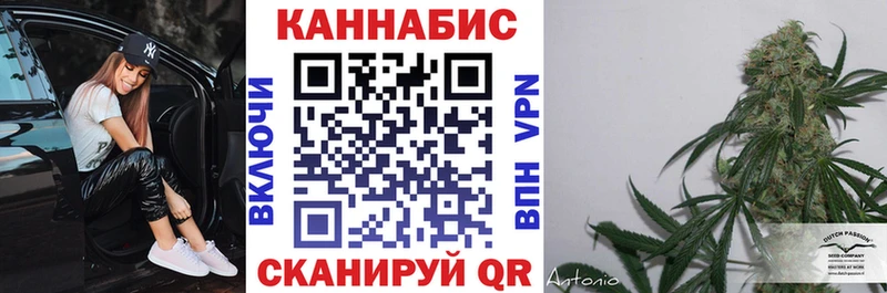 Шишки марихуана гибрид Элиста